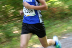 2013 Aidlingen