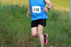 2013 Jägerstein-Lauf